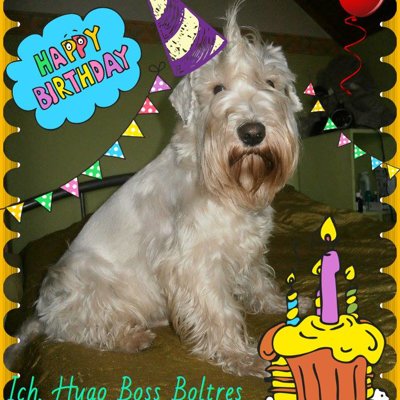 Hugo slaví narozeniny