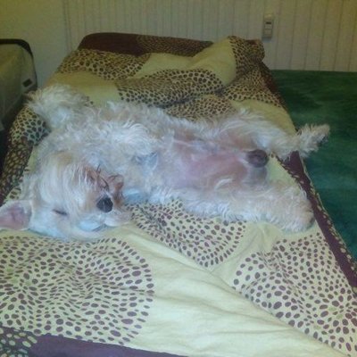 Hugo spí :D kulky hore