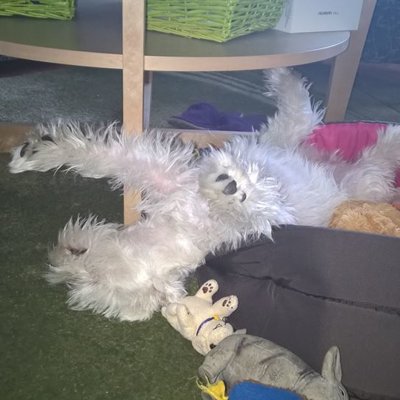 Hugouškův potomek...dědí se úplně všechno :D