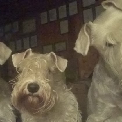 tři sudičky: Maty, Beru, Pepi