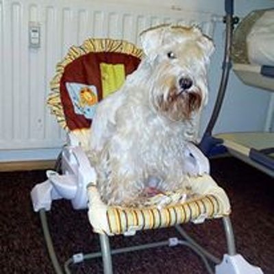 Hugo testuje dětskou houpačku