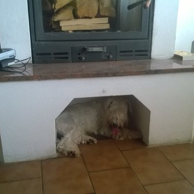 Hugoušek si našel novou budku:D