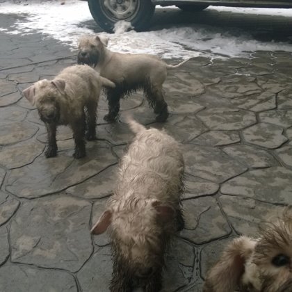 Miluji zimu, je plná překvapení :D