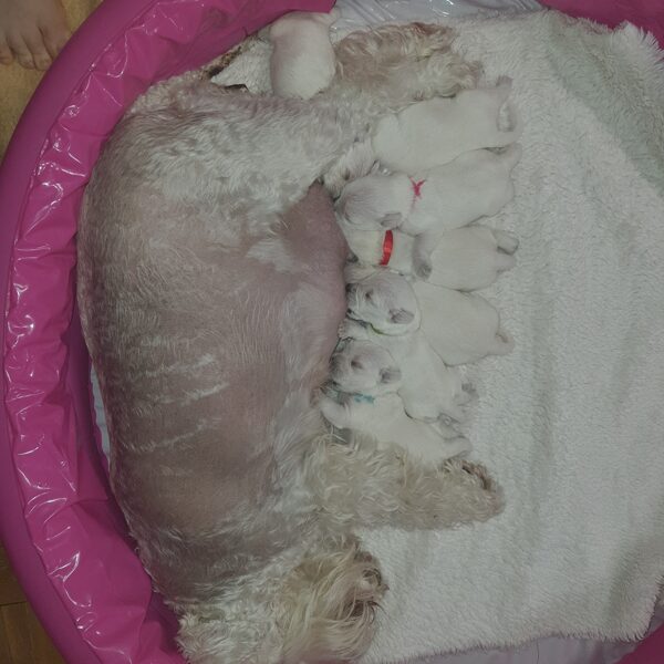 Ta maminka je taaak dobrá😋