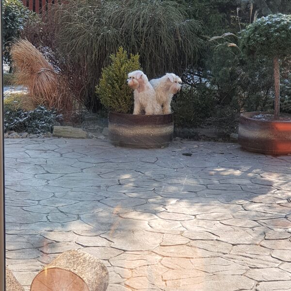 Gayda a Toňďa při hře 