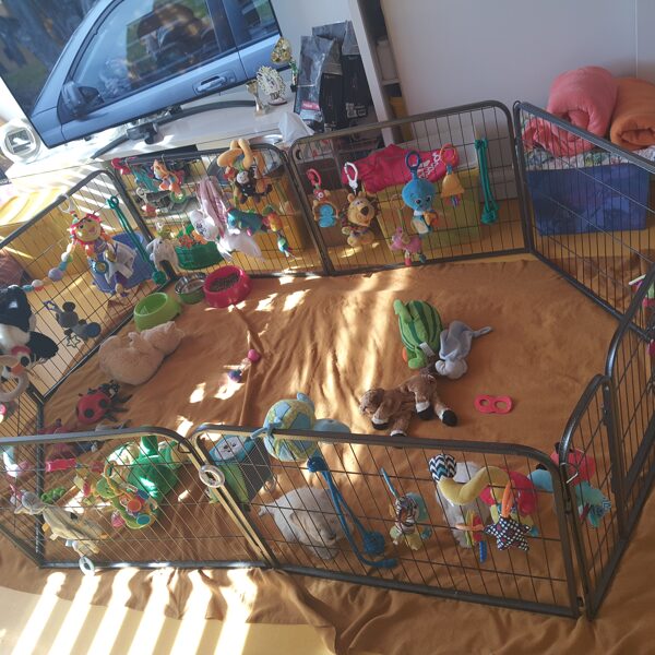 Bydleníčko pro miminkové myšky