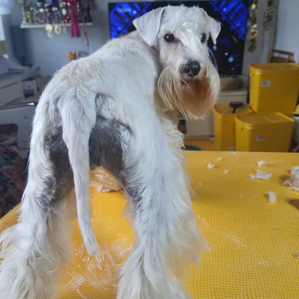 Upravíš mi i zadeček?