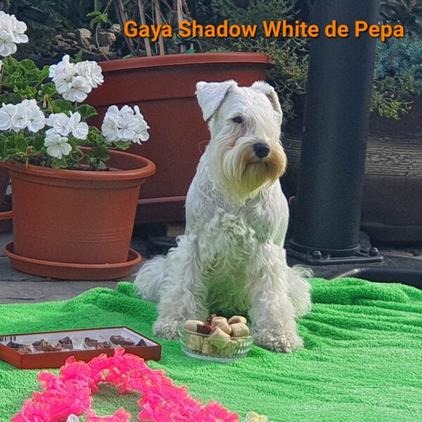 Holky slaví jeden rok