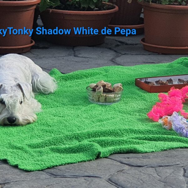 Holky slaví jeden rok