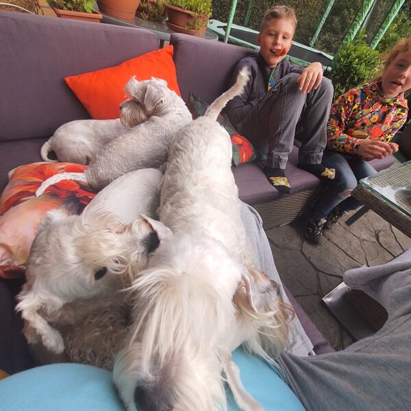 Odpočinek na terase😅🙄🐭🐭🐭🐭🐭🐭