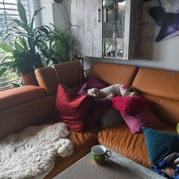 Gaya 2025 - princezna na hrášku 