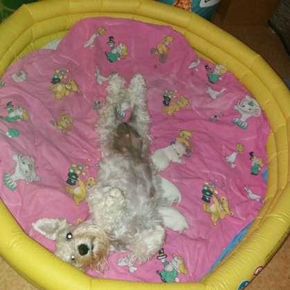 Beru a její speciální styl kojení :D