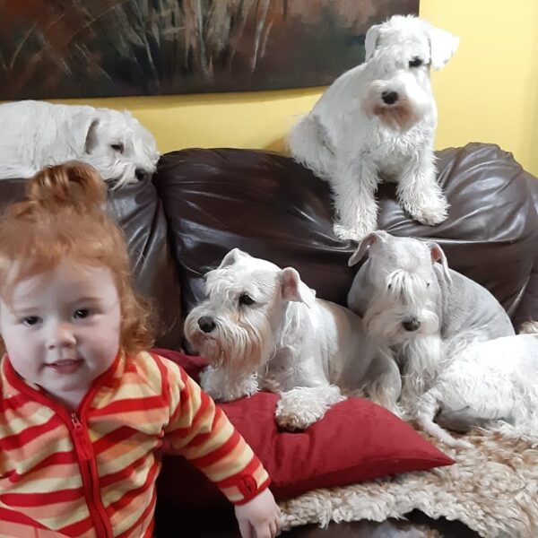 2019 - Mája a parta