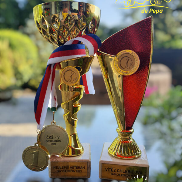 někdy něco přivezeme...zlato, stříbro, drahé kamení :D