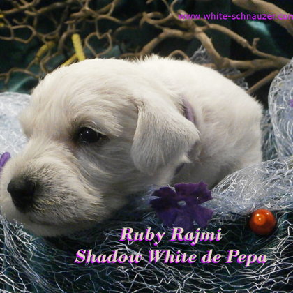 28.den života/28.days