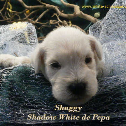 18. den života/ 18.days