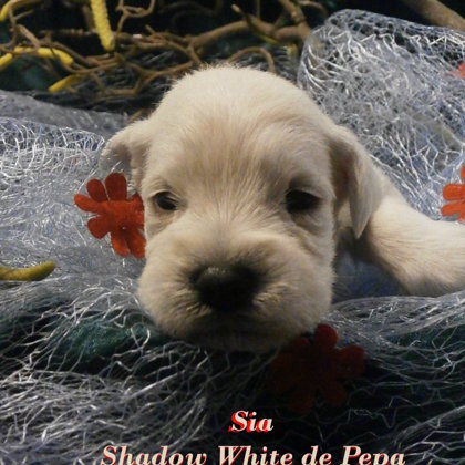 18. den života/ 18.days