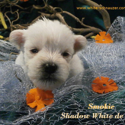 18. den života/ 18.days