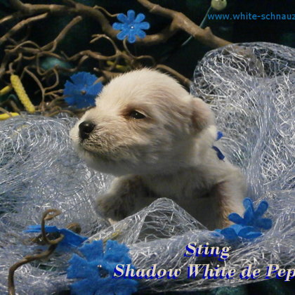 18. den života/ 18.days