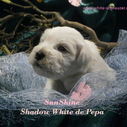 18. den života/ 18.days