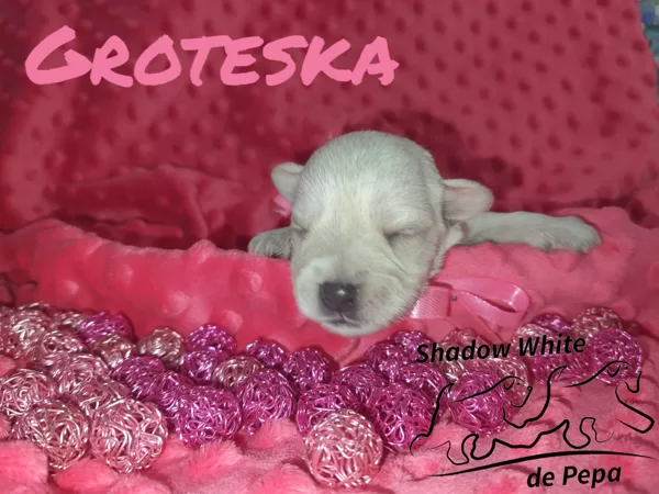7.den života