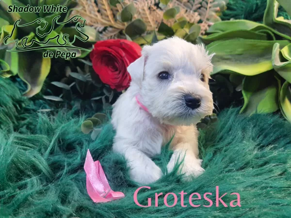 28.den života