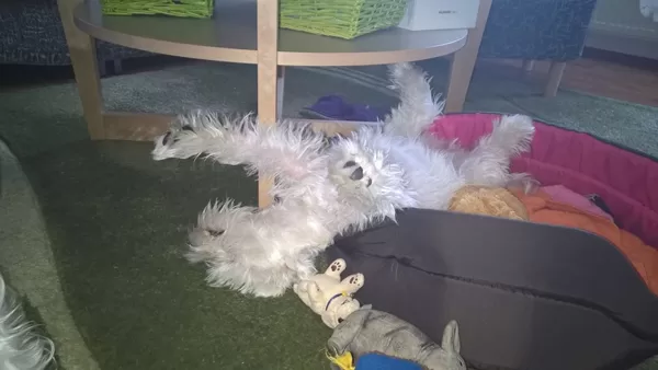 Hugouškův potomek...dědí se úplně všechno :D