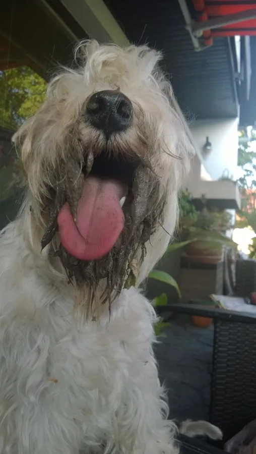 To bylo radosti
