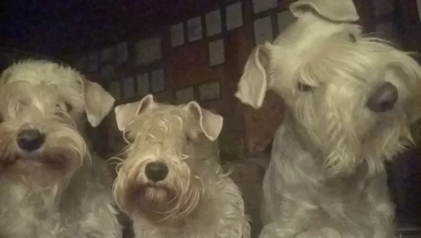 tři sudičky: Maty, Beru, Pepi