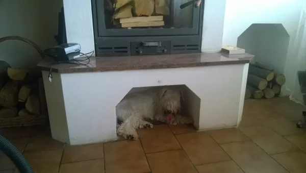 Hugoušek si našel novou budku:D