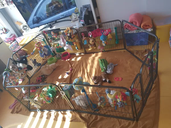 Bydleníčko pro miminkové myšky