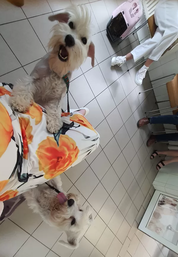 Na veterině 