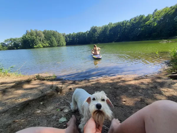 Léto u vody