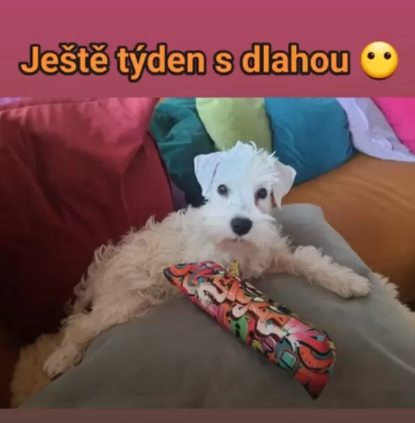 Malá Gayuška