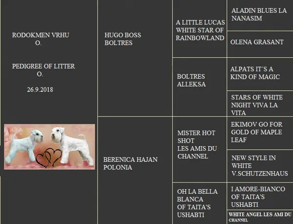 rodokmen - pedigree
